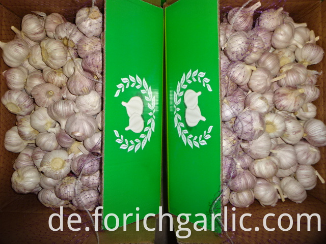 Best Quality Fresh Normal White Garlic